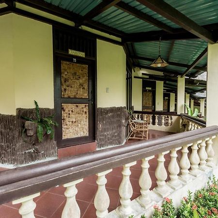 Ecolodge Bukit Lawang Zewnętrze zdjęcie