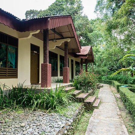 Ecolodge Bukit Lawang Zewnętrze zdjęcie