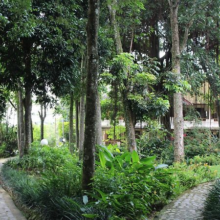 Ecolodge Bukit Lawang Pokój zdjęcie