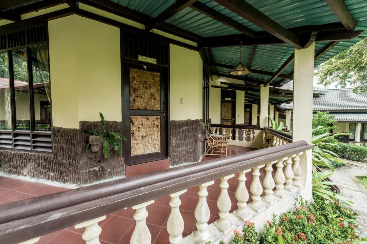 Ecolodge Bukit Lawang Zewnętrze zdjęcie