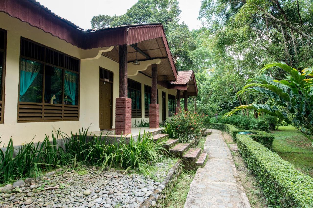 Ecolodge Bukit Lawang Zewnętrze zdjęcie