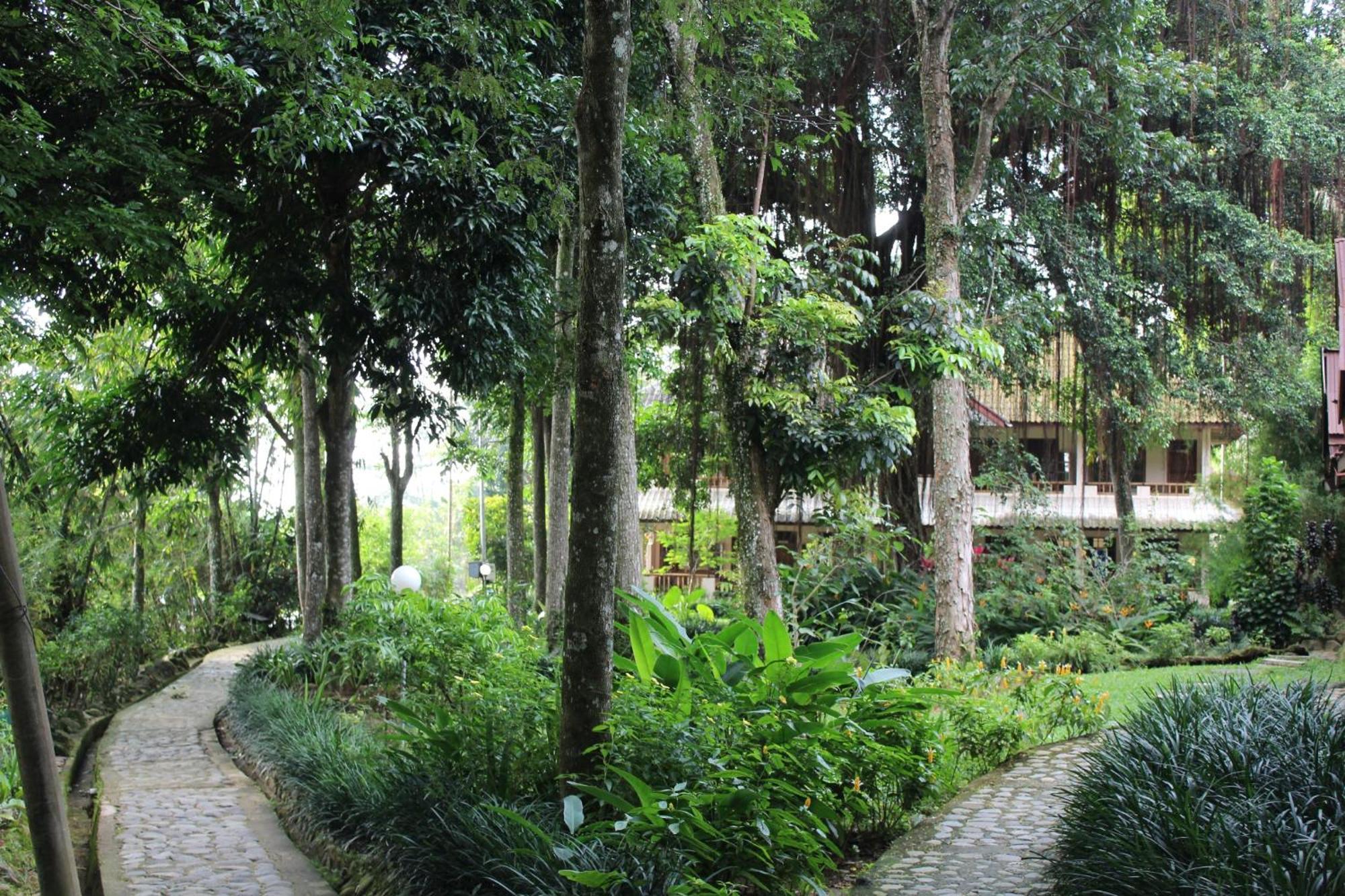 Ecolodge Bukit Lawang Pokój zdjęcie