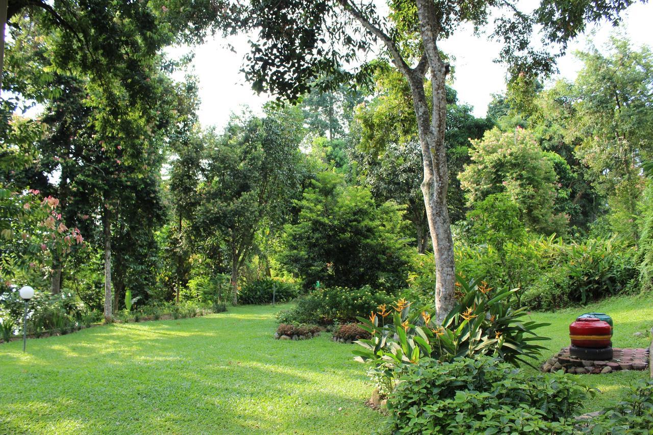 Ecolodge Bukit Lawang Zewnętrze zdjęcie