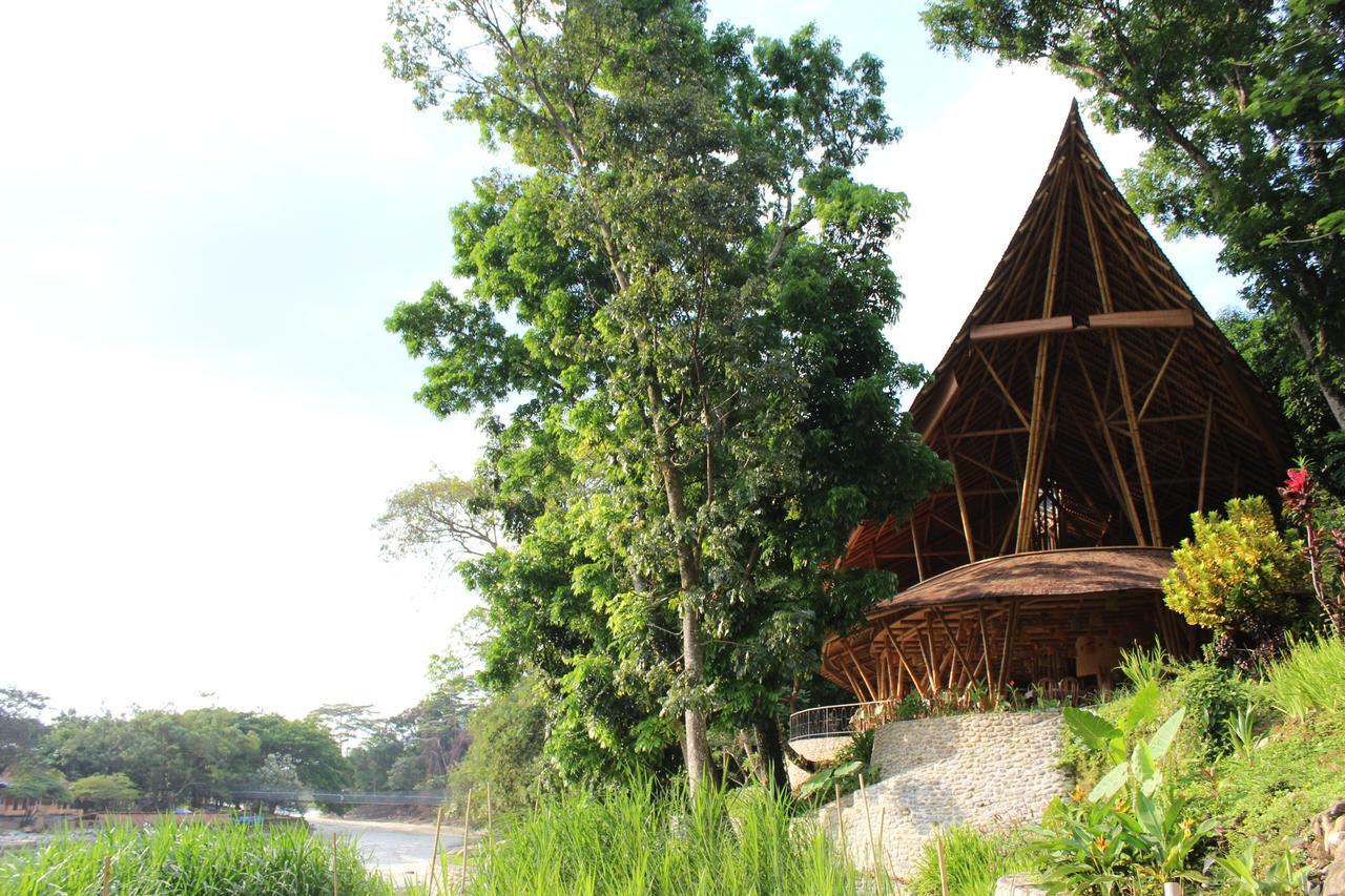 Ecolodge Bukit Lawang Zewnętrze zdjęcie
