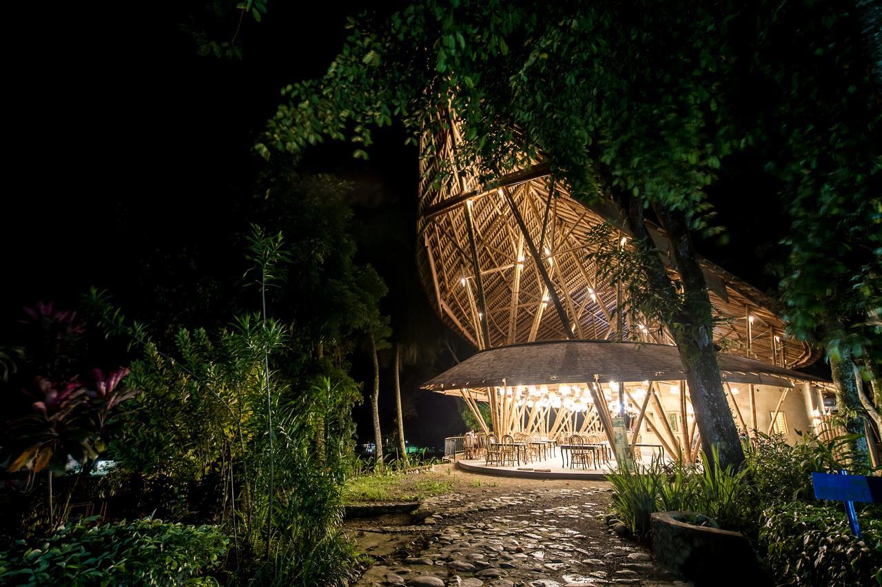 Ecolodge Bukit Lawang Zewnętrze zdjęcie
