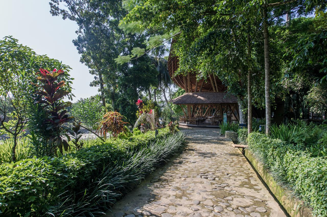 Ecolodge Bukit Lawang Zewnętrze zdjęcie
