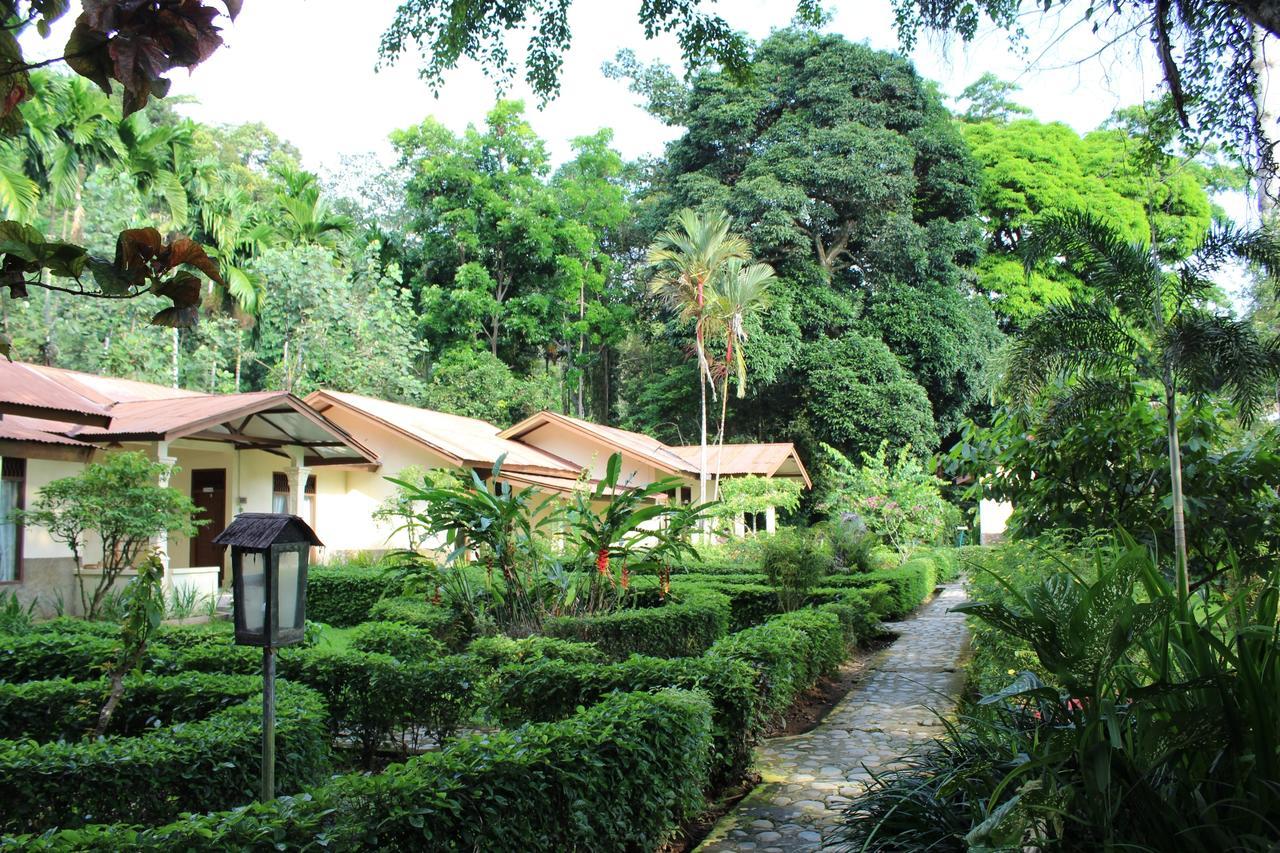Ecolodge Bukit Lawang Zewnętrze zdjęcie