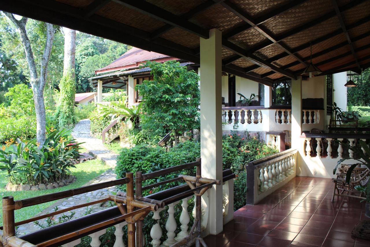 Ecolodge Bukit Lawang Zewnętrze zdjęcie