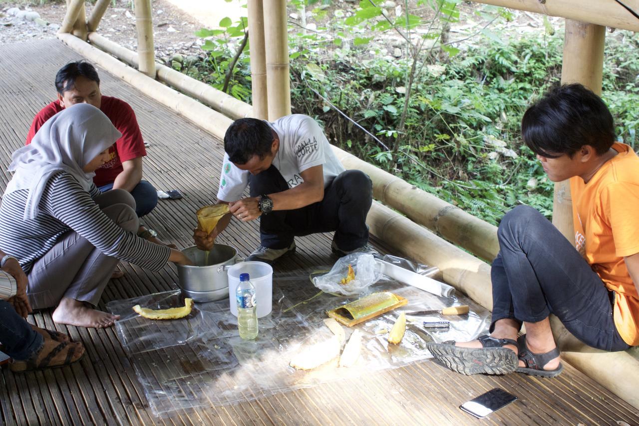 Ecolodge Bukit Lawang Zewnętrze zdjęcie